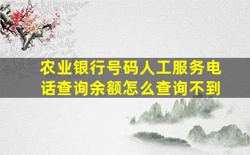 农业银行号码人工服务电话查询余额怎么查询不到