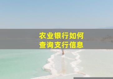 农业银行如何查询支行信息