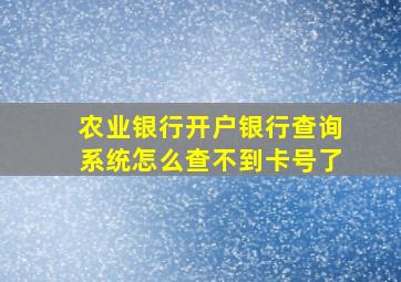 农业银行开户银行查询系统怎么查不到卡号了