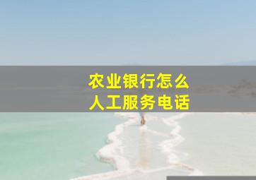 农业银行怎么人工服务电话