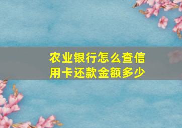 农业银行怎么查信用卡还款金额多少