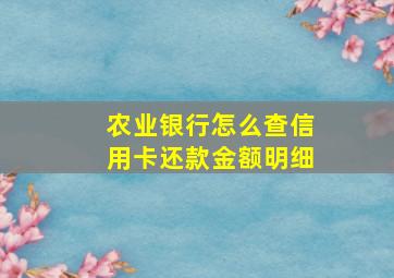 农业银行怎么查信用卡还款金额明细