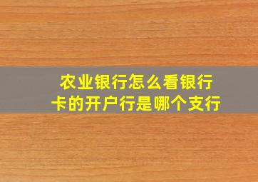 农业银行怎么看银行卡的开户行是哪个支行