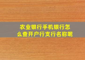 农业银行手机银行怎么查开户行支行名称呢