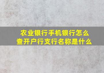 农业银行手机银行怎么查开户行支行名称是什么