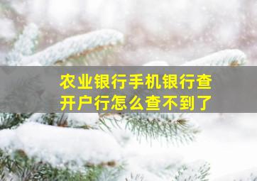 农业银行手机银行查开户行怎么查不到了