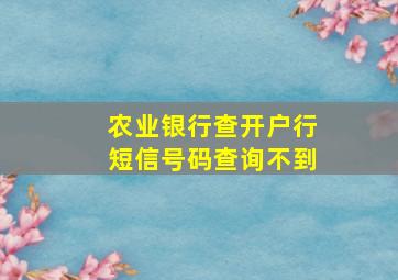 农业银行查开户行短信号码查询不到