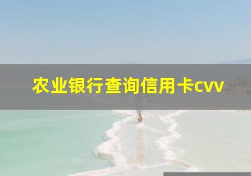 农业银行查询信用卡cvv