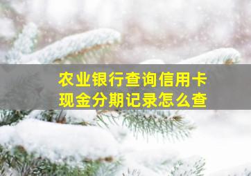 农业银行查询信用卡现金分期记录怎么查