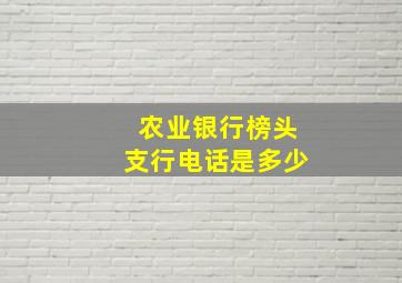 农业银行榜头支行电话是多少