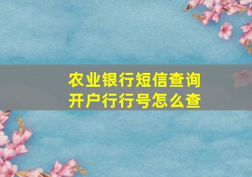 农业银行短信查询开户行行号怎么查