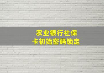 农业银行社保卡初始密码锁定