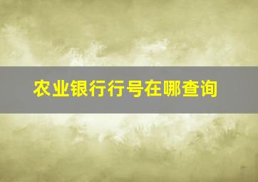 农业银行行号在哪查询