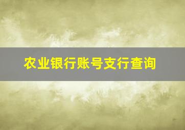 农业银行账号支行查询