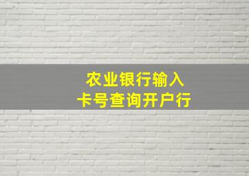 农业银行输入卡号查询开户行