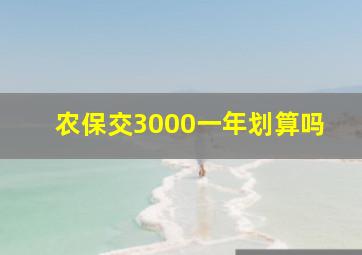 农保交3000一年划算吗