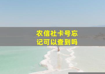 农信社卡号忘记可以查到吗