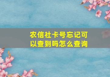 农信社卡号忘记可以查到吗怎么查询