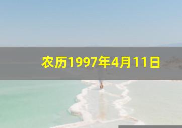 农历1997年4月11日