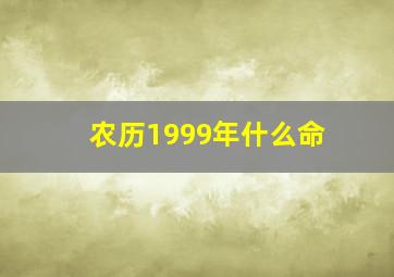 农历1999年什么命