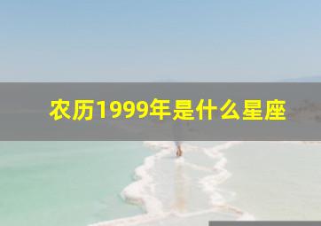 农历1999年是什么星座