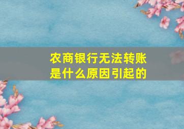 农商银行无法转账是什么原因引起的