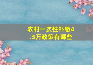 农村一次性补缴4.5万政策有哪些