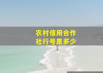 农村信用合作社行号是多少