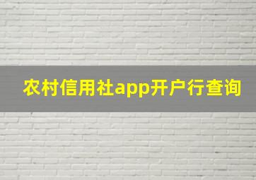 农村信用社app开户行查询