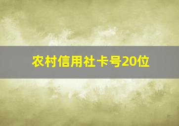 农村信用社卡号20位