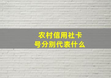 农村信用社卡号分别代表什么