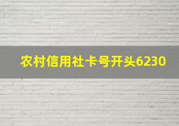 农村信用社卡号开头6230