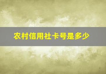 农村信用社卡号是多少