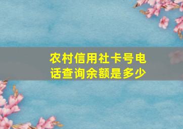 农村信用社卡号电话查询余额是多少