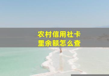 农村信用社卡里余额怎么查