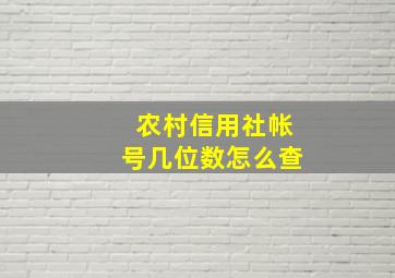 农村信用社帐号几位数怎么查