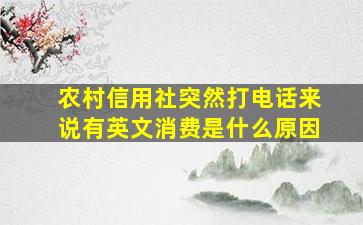 农村信用社突然打电话来说有英文消费是什么原因