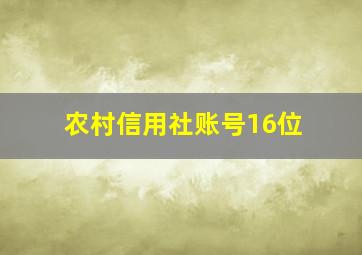 农村信用社账号16位