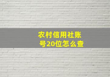 农村信用社账号20位怎么查