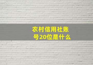 农村信用社账号20位是什么