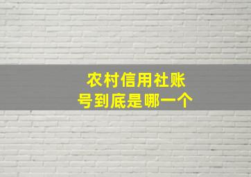 农村信用社账号到底是哪一个