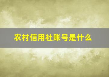 农村信用社账号是什么