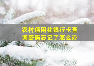 农村信用社银行卡查询密码忘记了怎么办