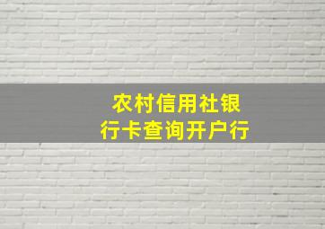 农村信用社银行卡查询开户行