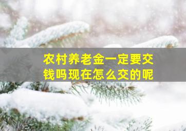 农村养老金一定要交钱吗现在怎么交的呢