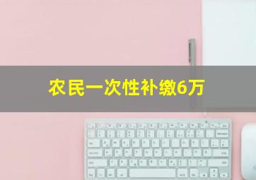 农民一次性补缴6万