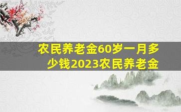 农民养老金60岁一月多少钱2023农民养老金