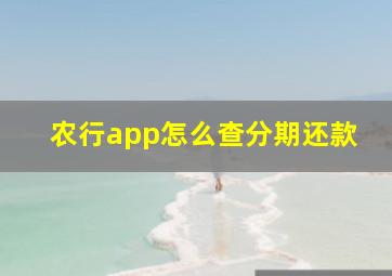 农行app怎么查分期还款