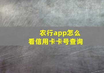 农行app怎么看信用卡卡号查询