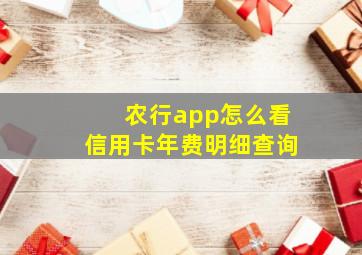 农行app怎么看信用卡年费明细查询